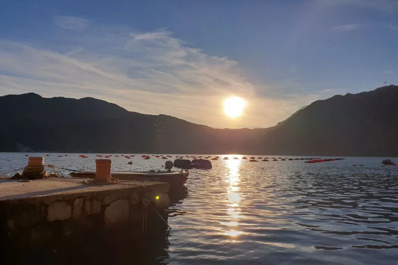 Ostriche montenegrine tradizionali e piatto di pesce all'allevamento di cozze Ostriche montenegrine tradizionali e piatto di pesce all'allevamento di cozze