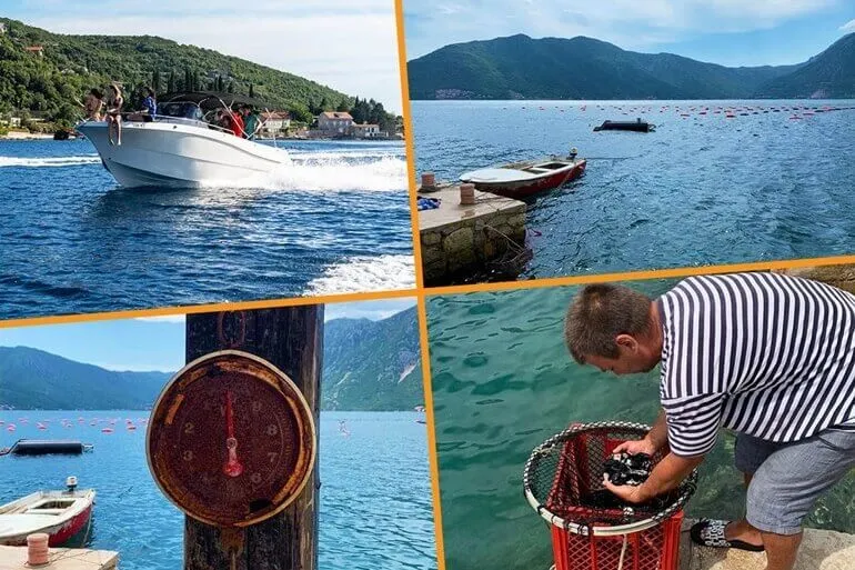 Karadağ'da panoramik körfez manzaralarıyla organik deniz ürünü yiyen misafirler Karadağ'da panoramik körfez manzaralarıyla organik deniz ürünü yiyen misafirler